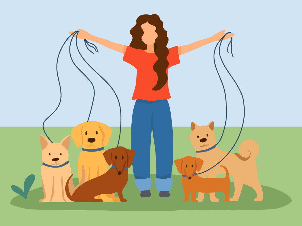 2021 Top Tips to Find the Best Pet Sitter or Walker Only Natural Pet