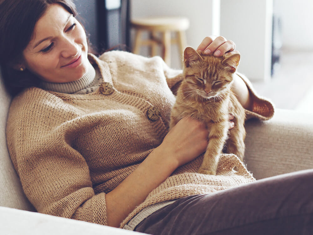 Support for Cat with Cancer – Only Natural Pet