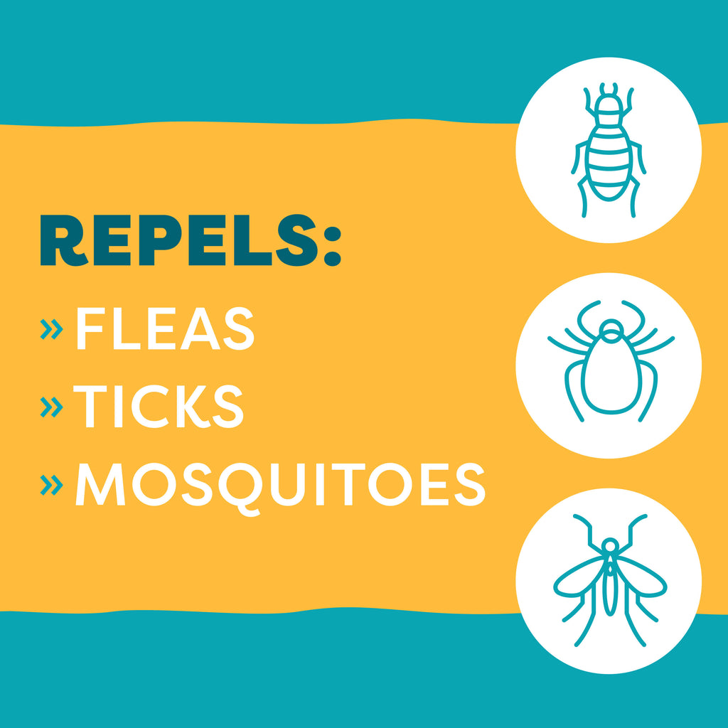 Only Natural Pet EasyDefense NonToxic Flea & Tick Collar for Dogs