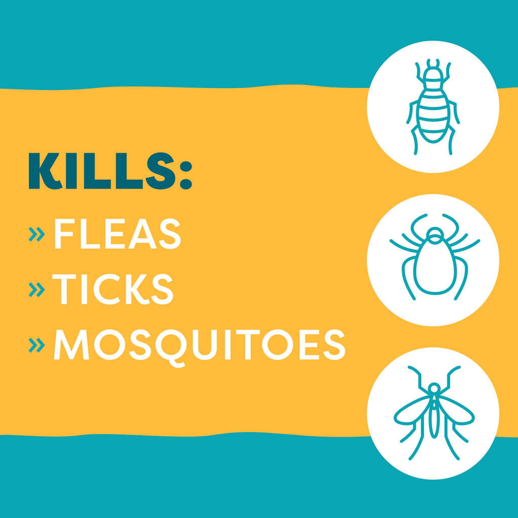 EasyDefense Flea & Tick Home Spray for Dogs & Cats Only Natural Pet