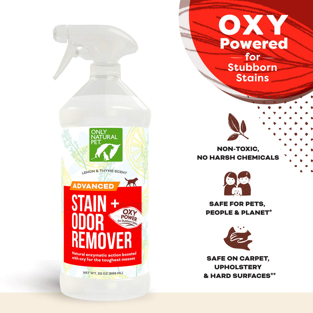 Advanced Dog Stain Odor Remover with Oxy Only Natural Pet