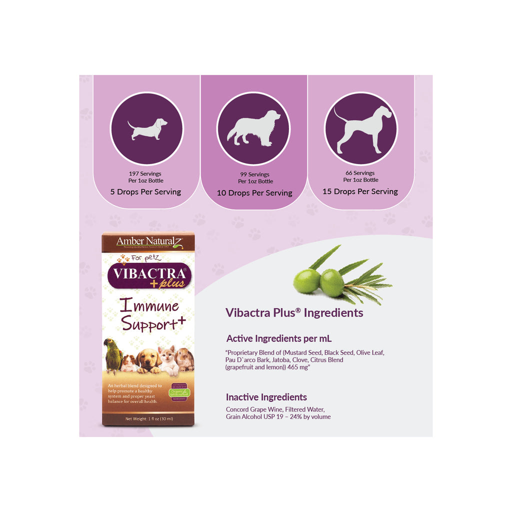 Amber Naturalz Vibactra Plus Immune Support Herbal Liquid Supplement for Dogs & Cats | Only Natural Pet Amber Naturalz Vibactra Plus Immune Support Herbal Liquid Supplement for Dogs & Cats | Only Natural Pet