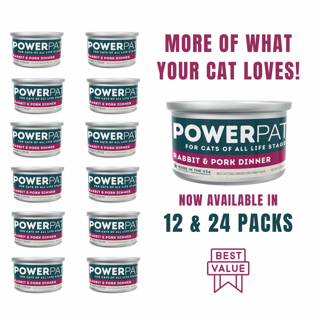 Only natural pet kitten power deals dinner