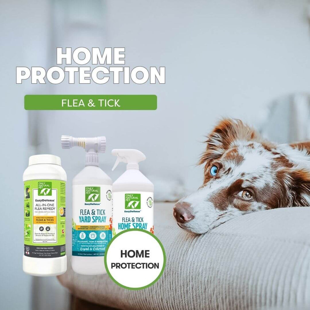 Only Natural Pet Flea & Tick Kits for Dogs | Only Natural Pet