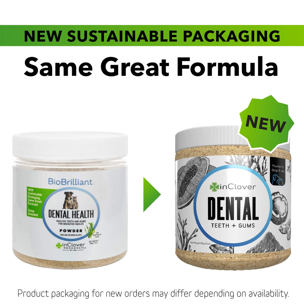 In Clover Dental Powder for Dogs & Cats | Only Natural Pet