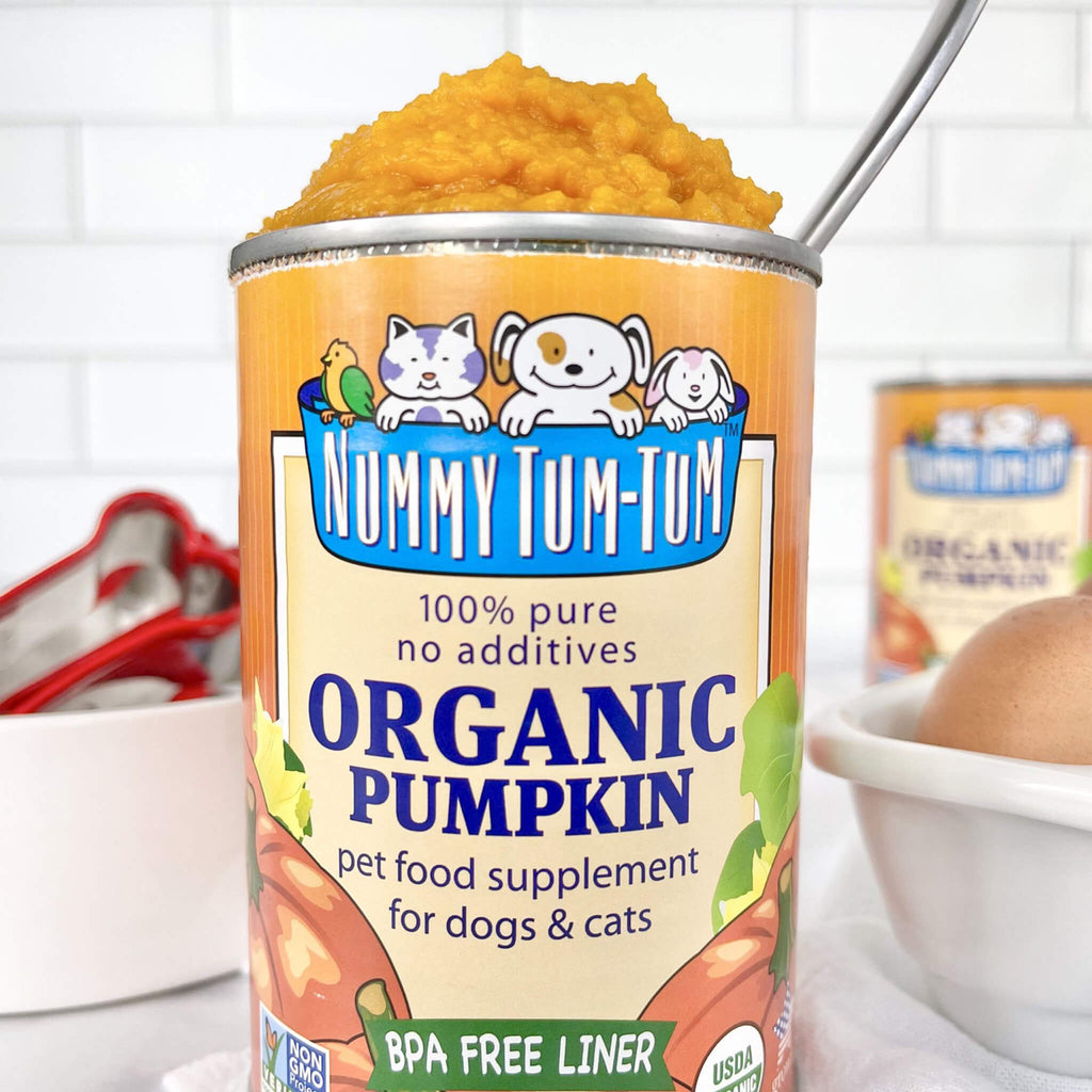 Nummy Tum Tum Organic Canned Dog Cat Supplement Only Natural Pet