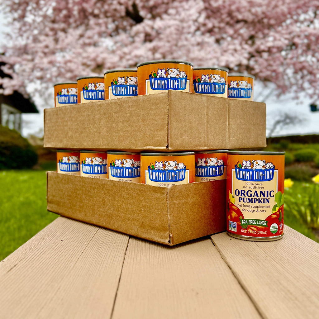 Nummy Tum Tum Organic Canned Dog & Cat Supplement | Only Natural Pet