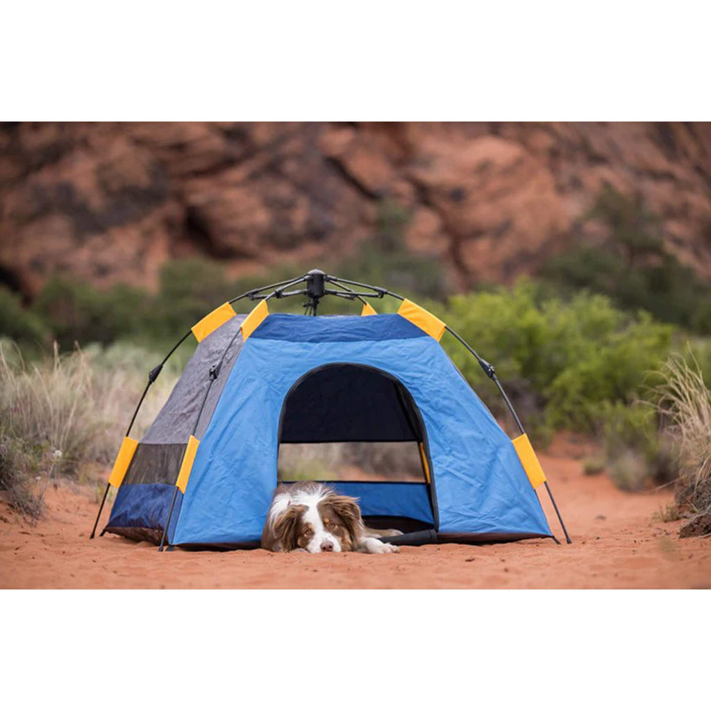 P.L.A.Y. Outdoor Dog Tent | Only Natural Pet