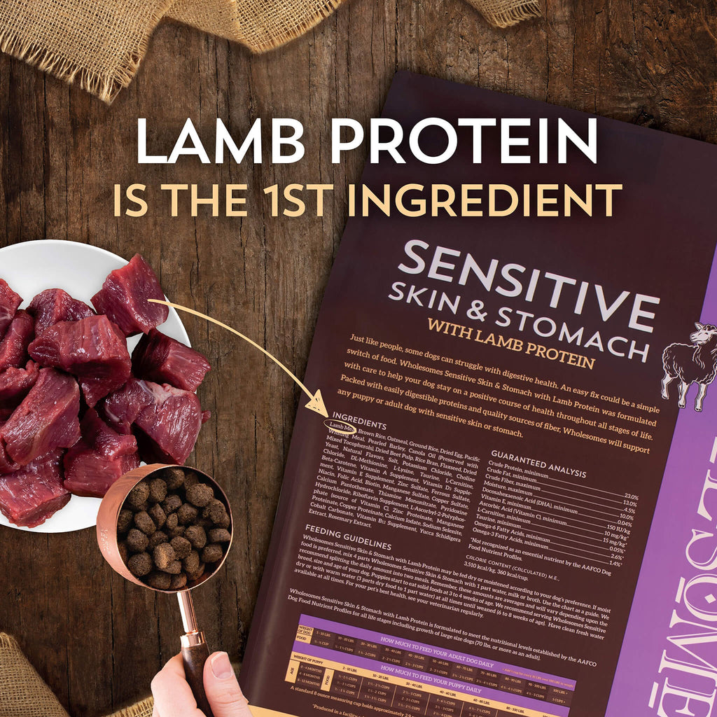 Wholesomes Sensitive Skin & Stomach Dry Dog Food | Only Natural Pet - Dog Food For Sensitive Stomach And Allergies With Flaxseed