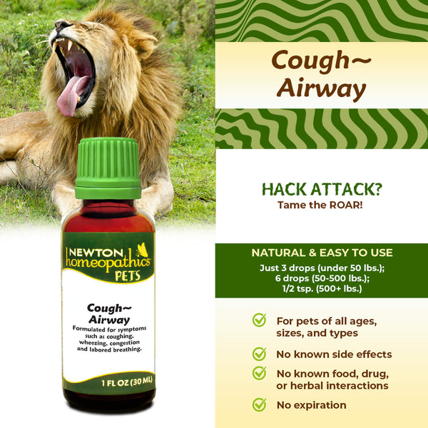 Newton Homeopathic Pets Cough Airway Infographic