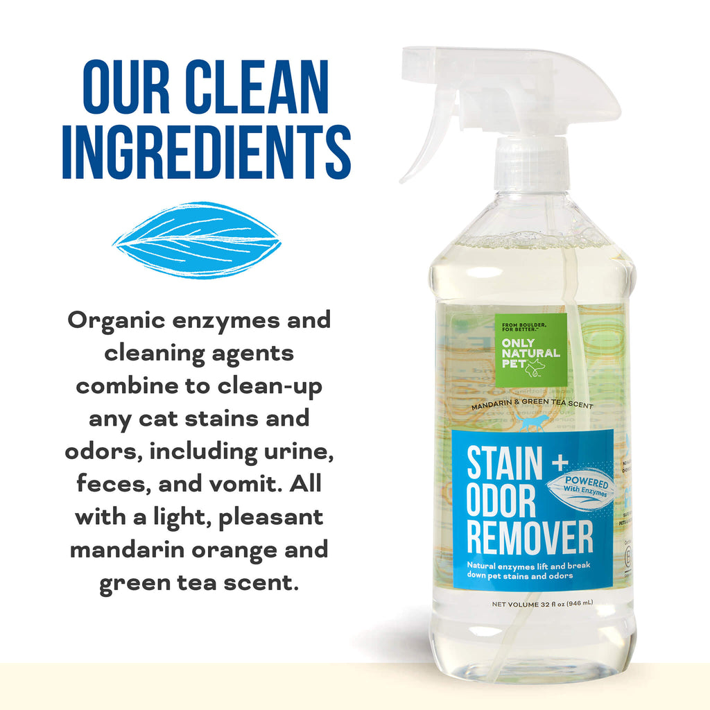 Odor Eliminator Best Stain Remover For Dog Poop Dog Stain Odor