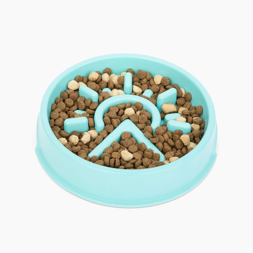 Sunup Slow-Feeder Dog Bowl Only Natural Pet
