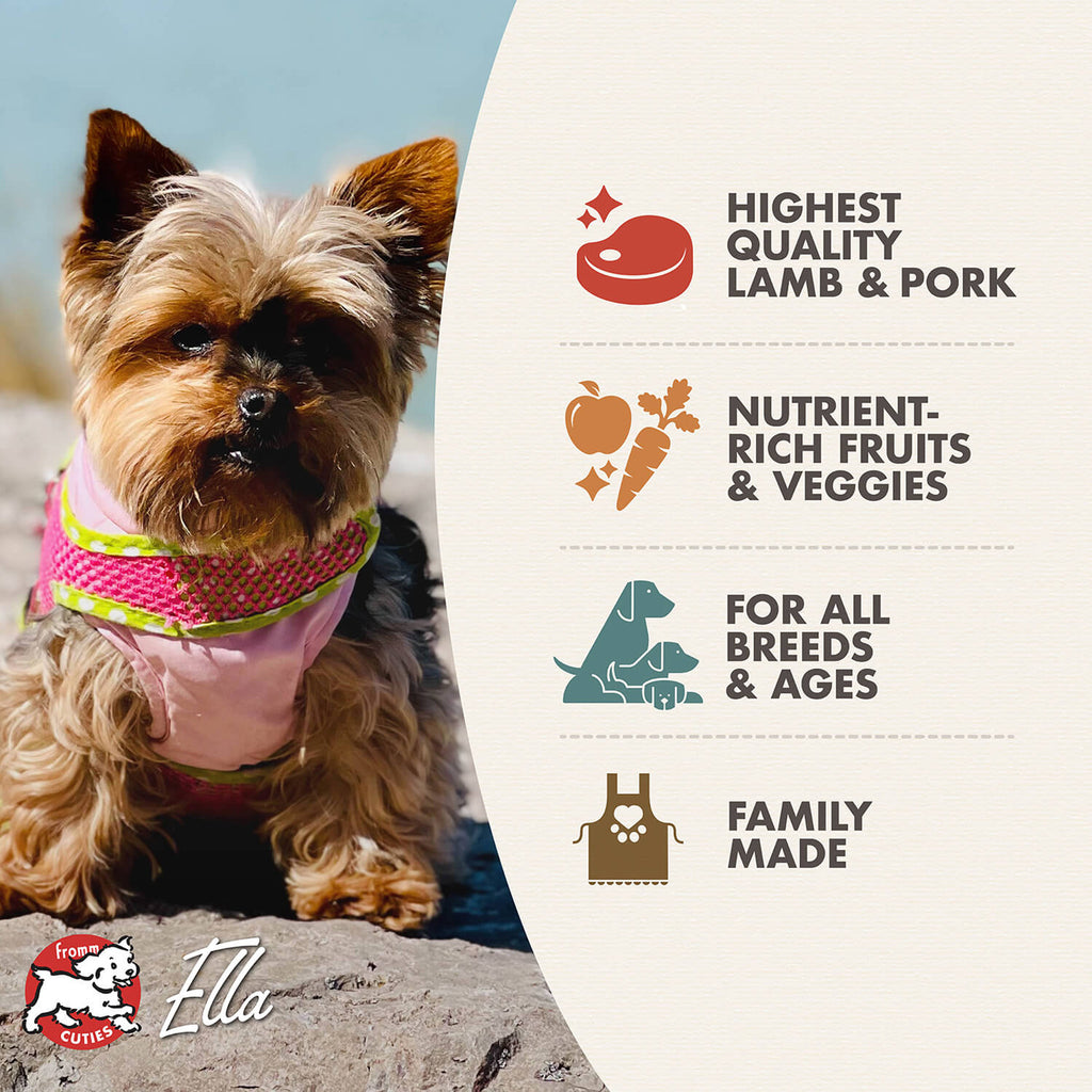 Fromm Four Star Grain Free Recipe Dog Food | Only Natural Pet