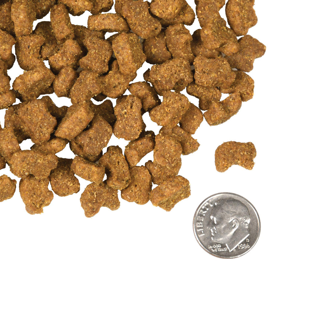 Picture Idea: Fromm Four Star Lamb Lentil Grain Free Recipe Dog Food