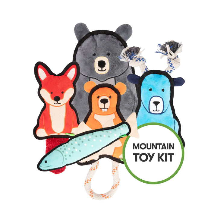 Mountain Toy Kit