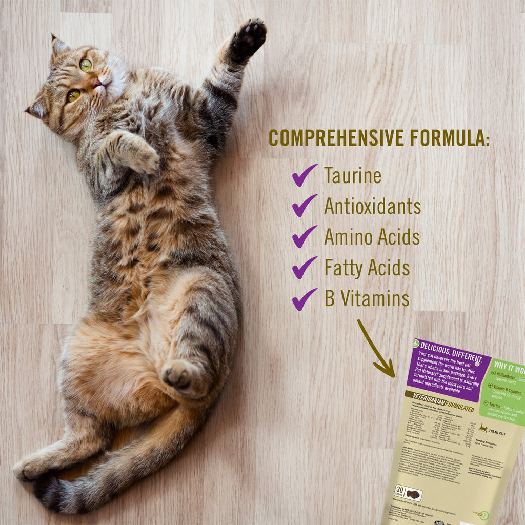 Pet Naturals Daily MultiVitamin for Cats Only Natural Pet
