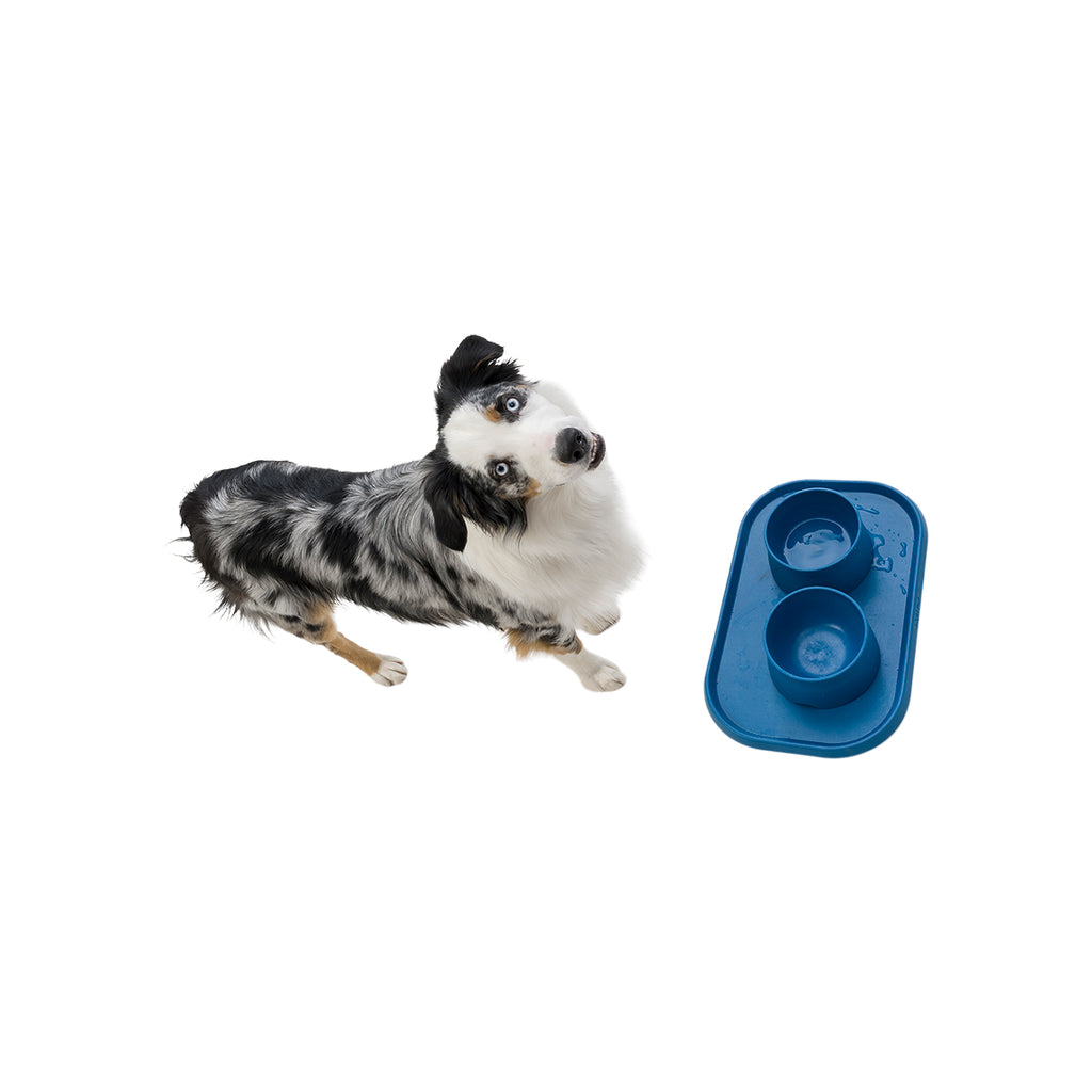 United Pets PLATE - Non-Slip Dog Bowl Mat - Interismo Online Shop Global