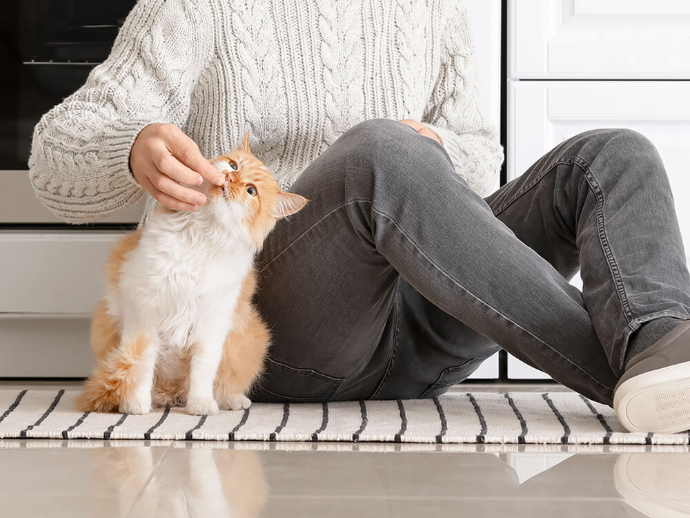 Should I Give My Cat Multivitamins? Only Natural Pet