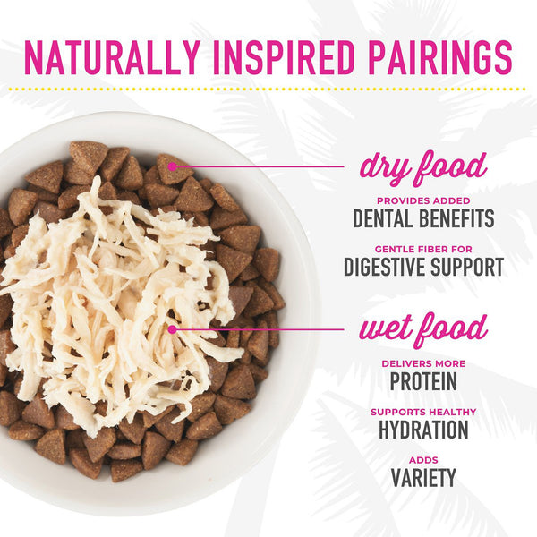 Tiki Cat Fish Favorites Pate Wet Cat Food