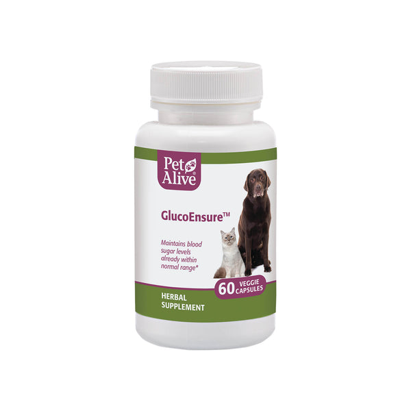 PetAlive GlucoEnsure Capsules Bottle Front