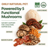 Only Natural Pet Mushroom Blend Immune System Support Supplement for Dogs