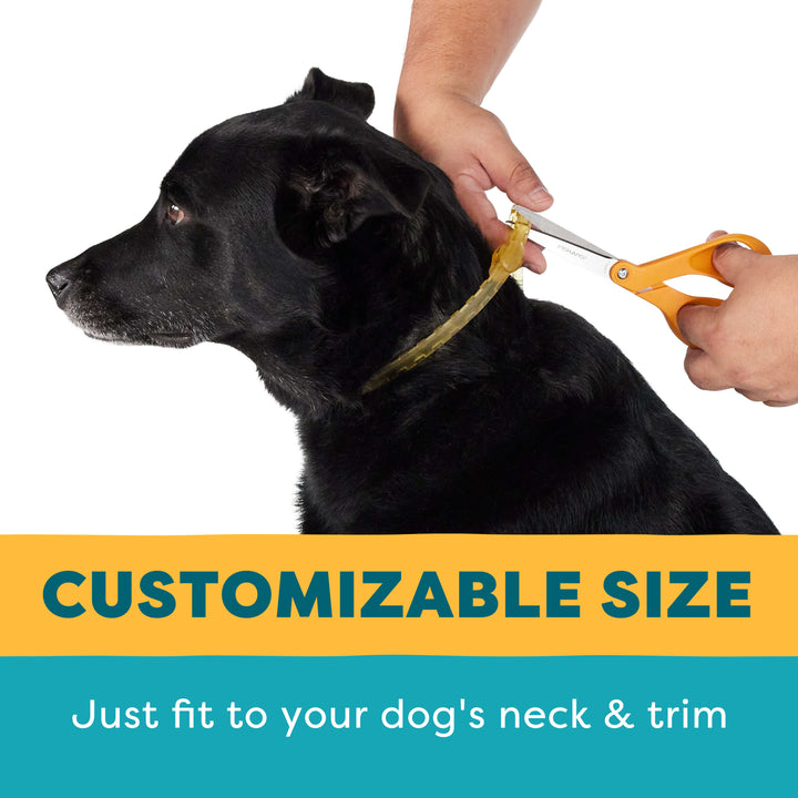 Only Natural Pet EasyDefense NonToxic Flea & Tick Collar for Dogs