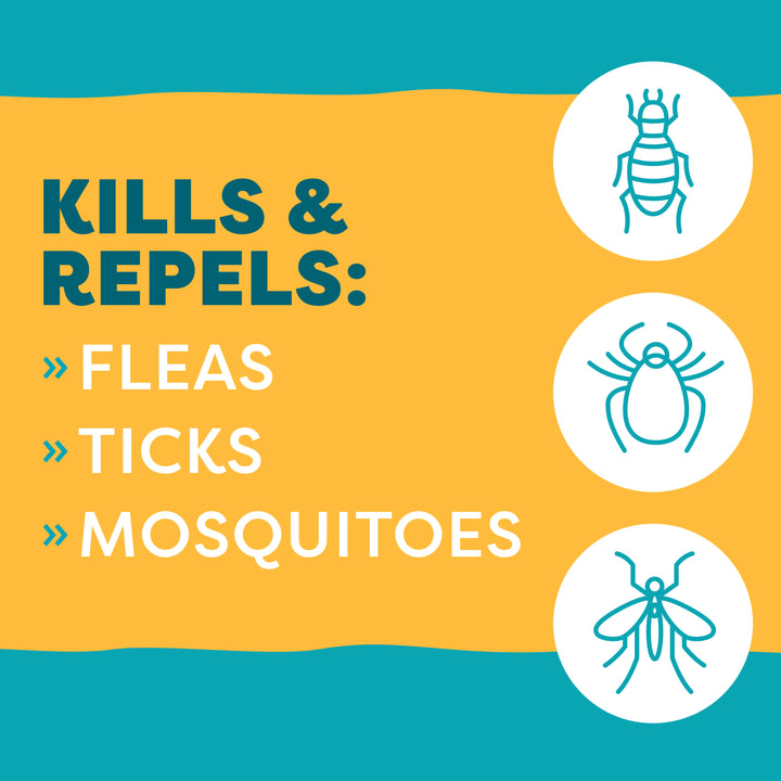 EasyDefense Herbal SqueezeOn Flea Treatment for Cats Only Natural Pet