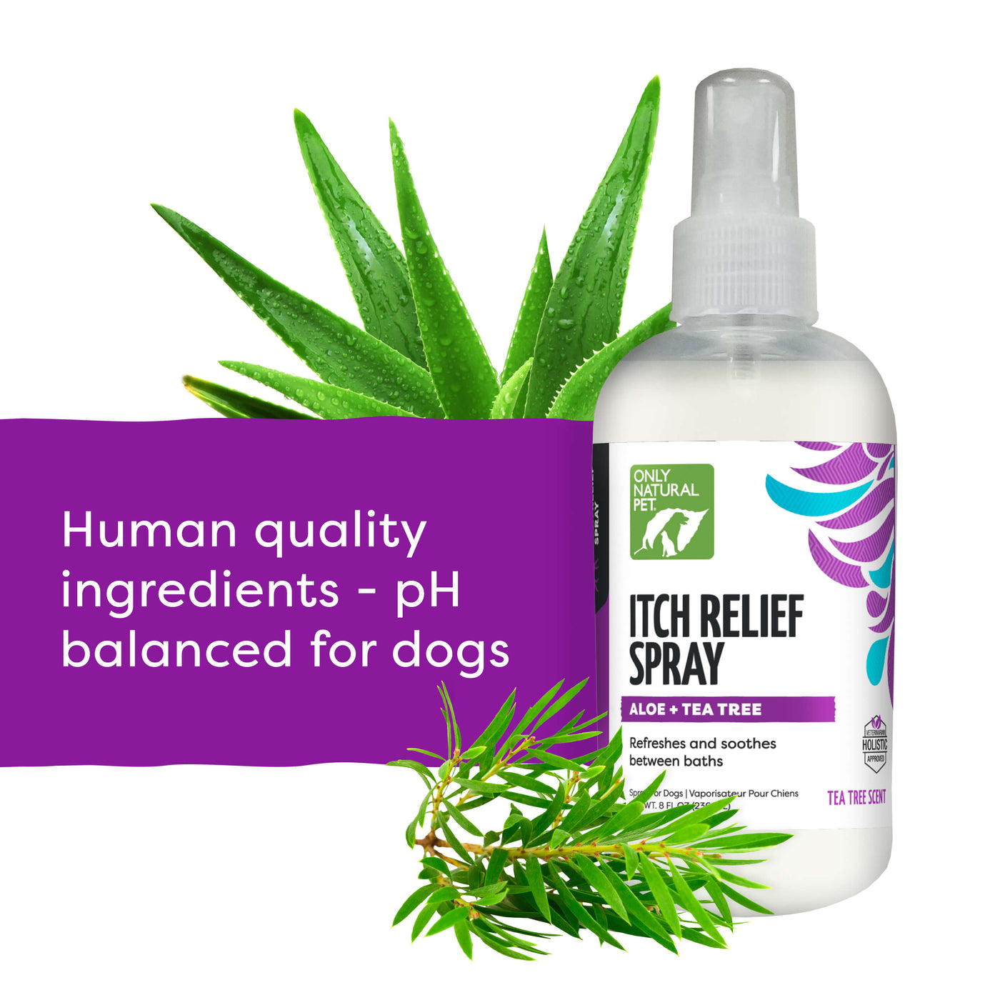 Itch Relief Spray with Aloe + Tea Tree for Dogs