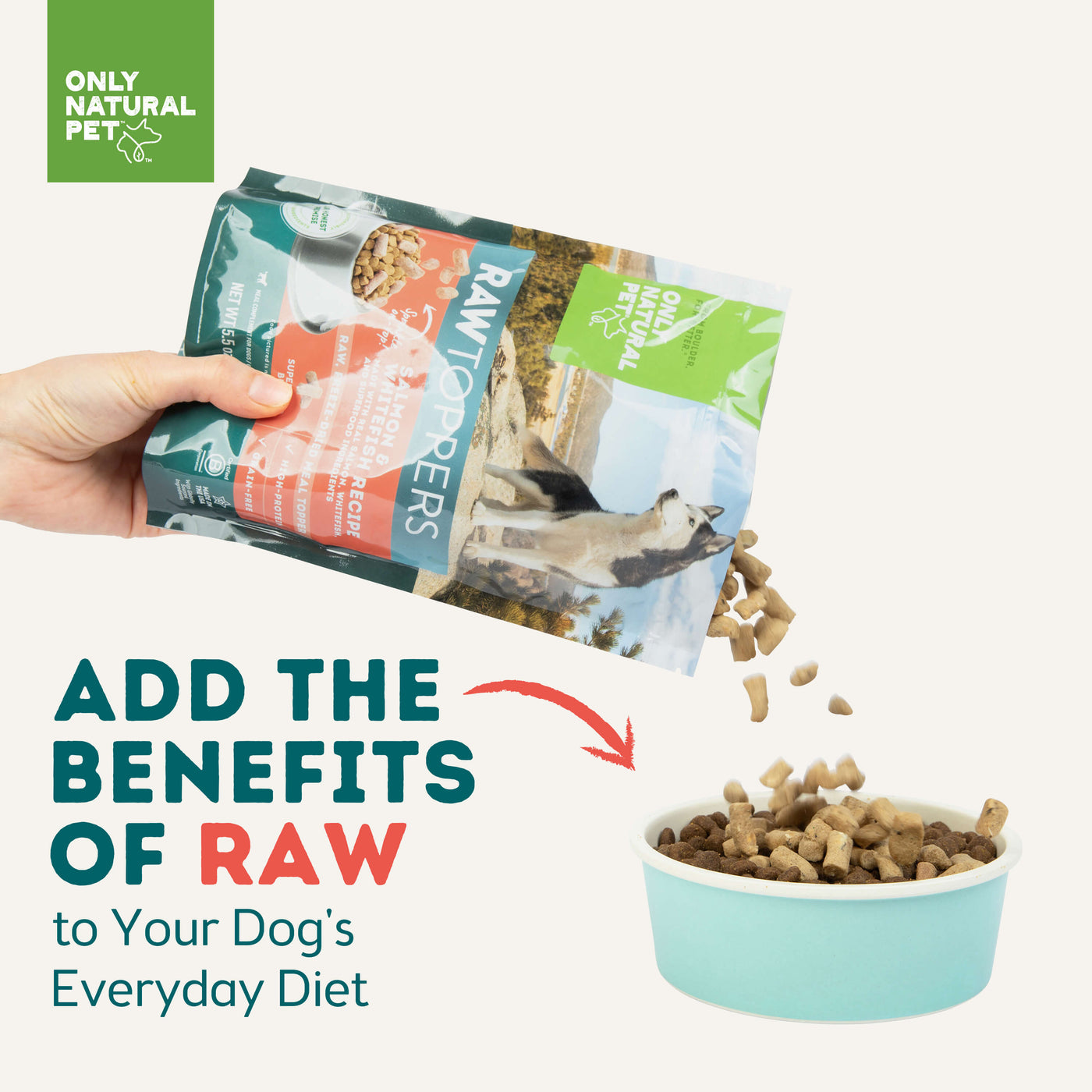 Nice n natural dog food hot sale