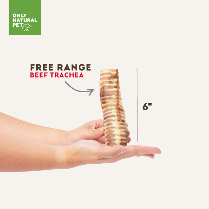 Beef trachea dog chews safe clearance