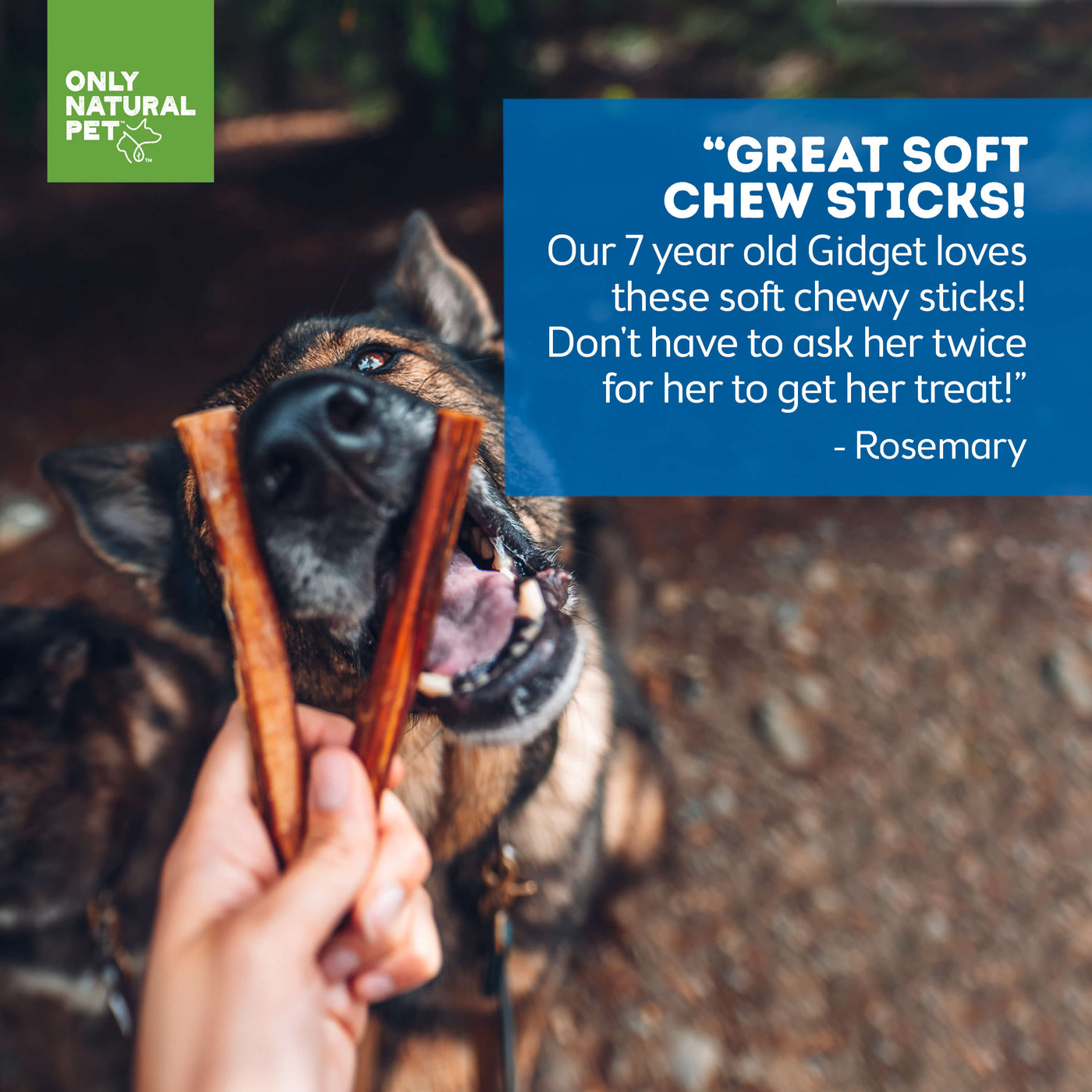 Best chew sticks for puppies clearance