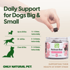 Only Natural Pet Mushroom Blend Immune System Support Supplement for Dogs