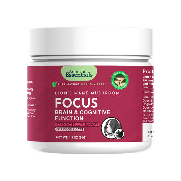 Animal Essentials FOCUS Lion's Mane Mushroom Powder for Dogs & Cats Bottle Front