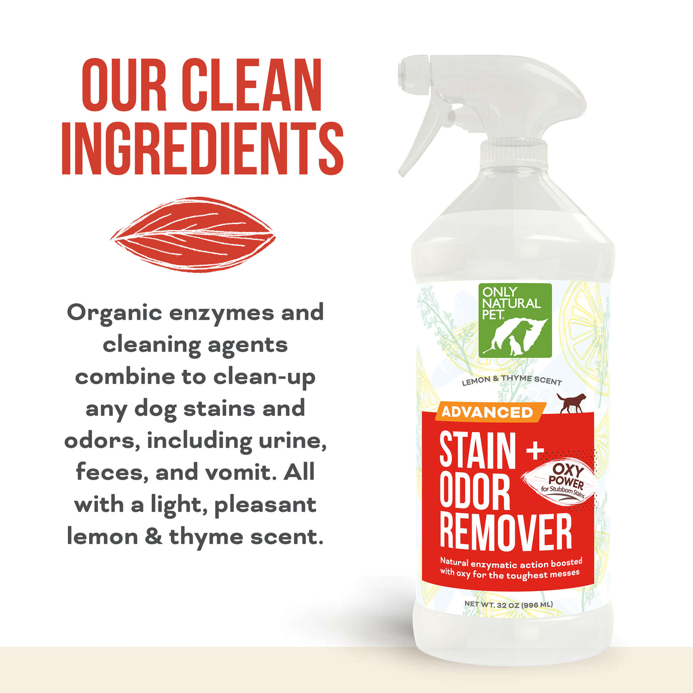 Natural Stain Remover Bundle