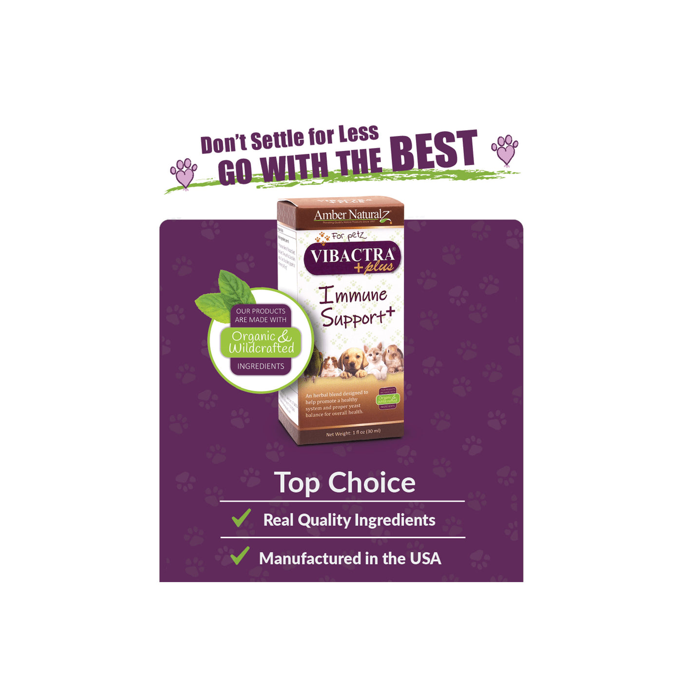 Amber Naturalz Vibactra Plus Immune Support Herbal Liquid Supplement for Dogs & Cats | Only Natural Pet Amber Naturalz Vibactra Plus Immune Support Herbal Liquid Supplement for Dogs & Cats | Only Natural Pet