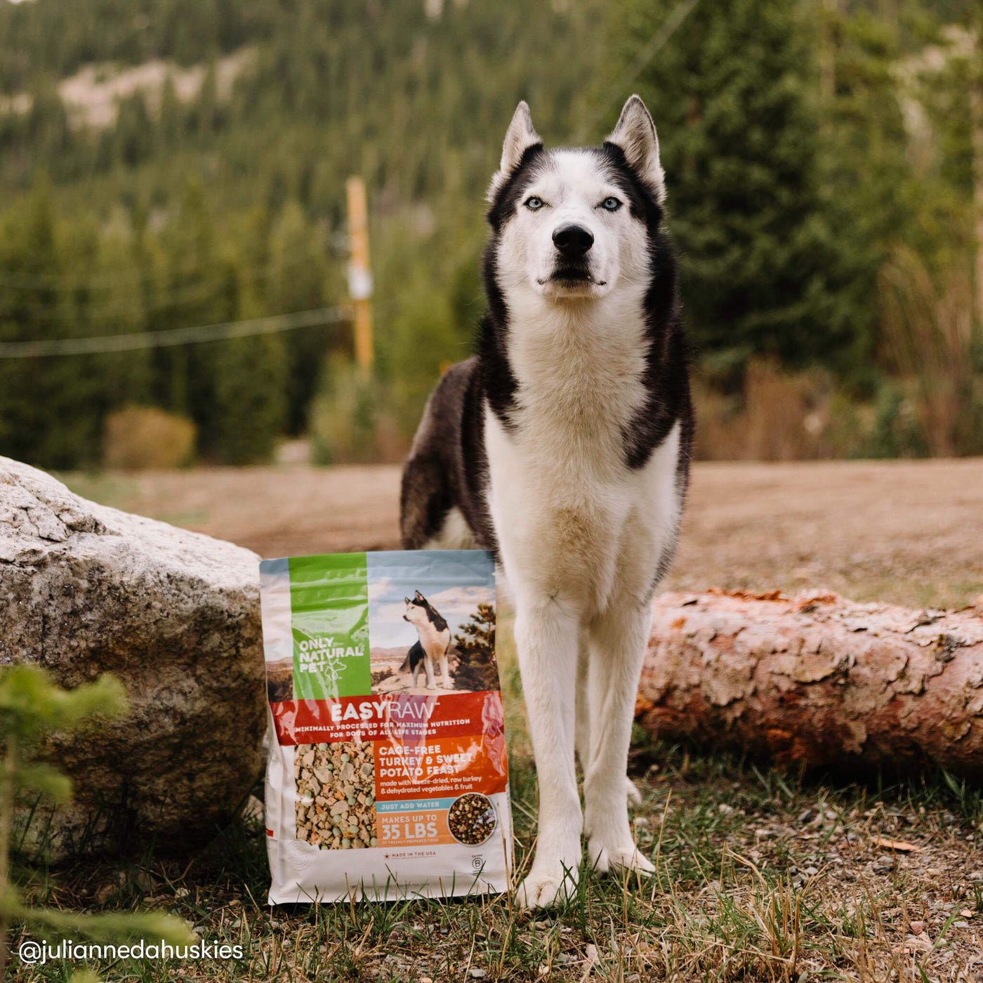 EasyRaw Cage Free Turkey Dehydrated Dog Food Only Natural Pet