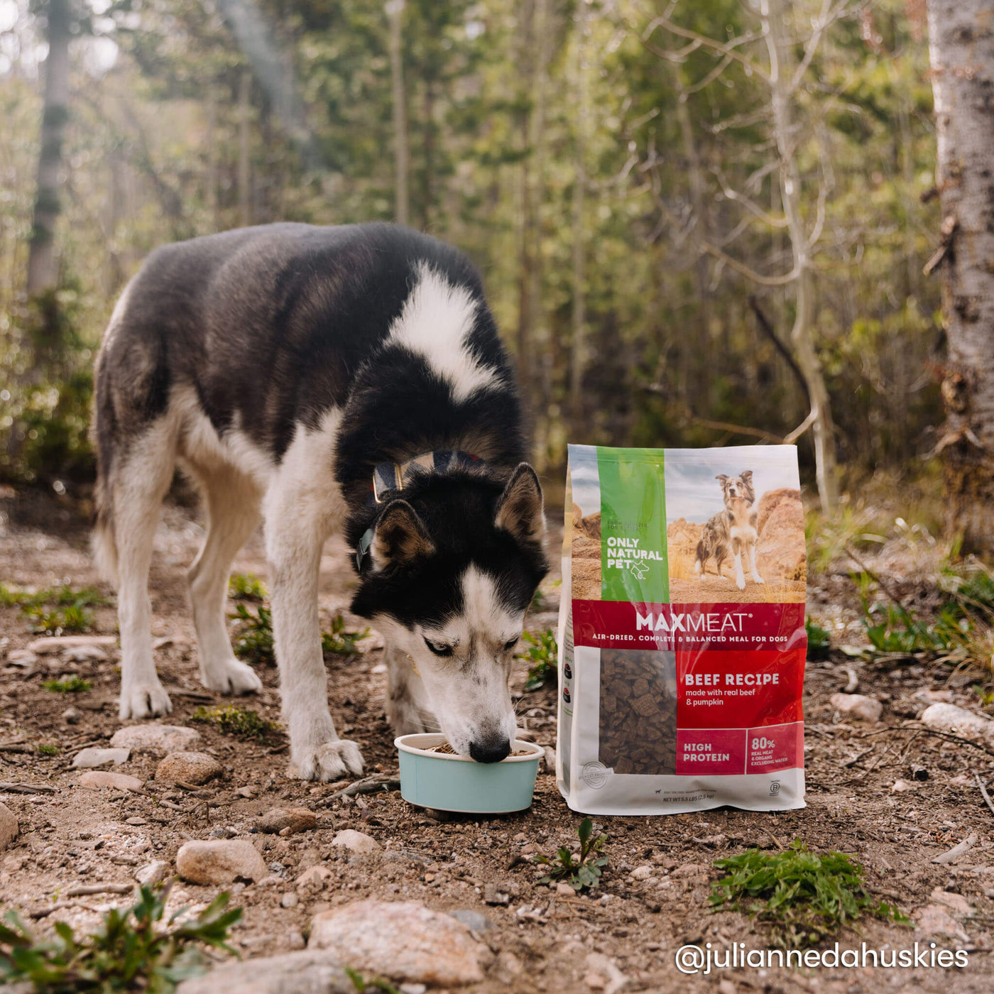 MaxMeat Air Dried Dog Food Beef Recipe Only Natural Pet