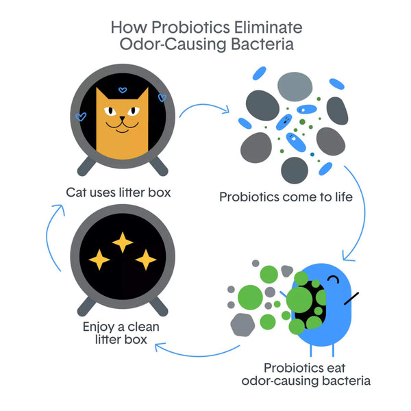 Boxiecat BoxiePro Bot Clumping Clay Litter for Automatic Boxes