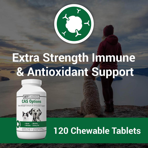 120 Tablets