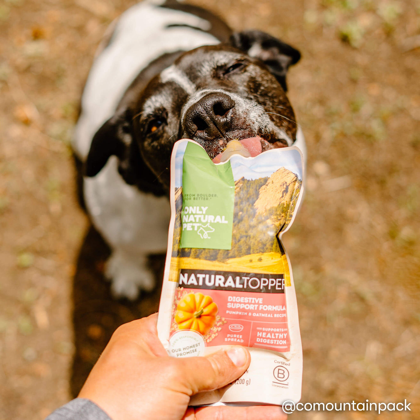 Natural Topper Digestive Support Dog Food Topper Only Natural Pet