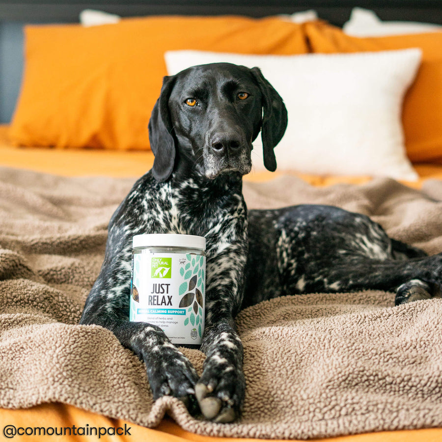 Only Natural Pet Just Relax Herbal Calming Soft Chews