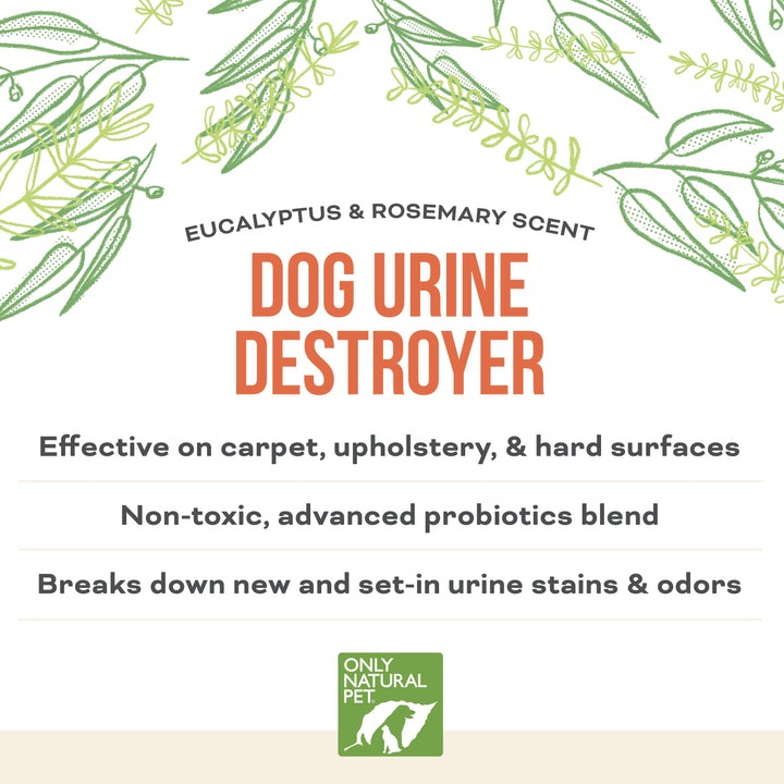 Urine Stain & Odor Destroyer Probiotic Spray for Dogs Only Natural Pet