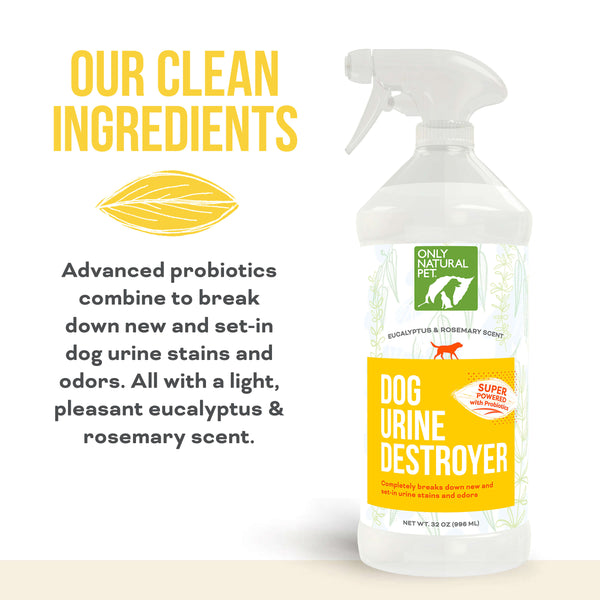 Urine Stain & Odor Destroyer Probiotic Spray for Dogs Only Natural Pet
