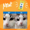 Earthbath Hypoallergenic Eye Wipes for Dogs & Cats Before Cat