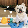 Earthbath Oatmeal & Aloe Pet Conditioner Lifestyle