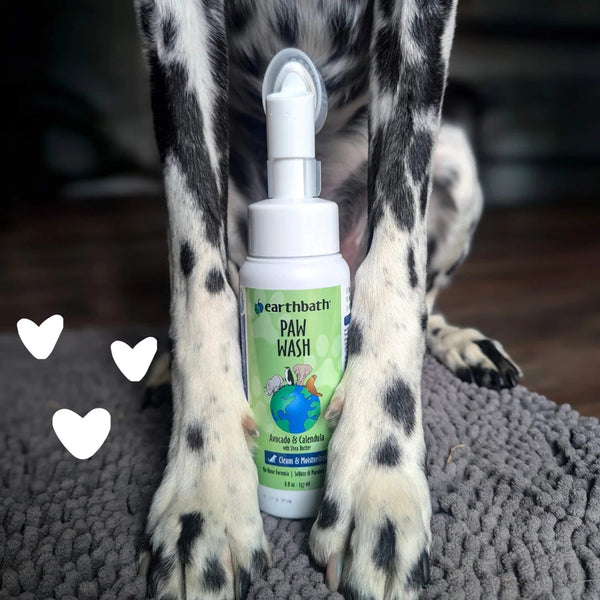 Earthbath Waterless Dog Paw Wash