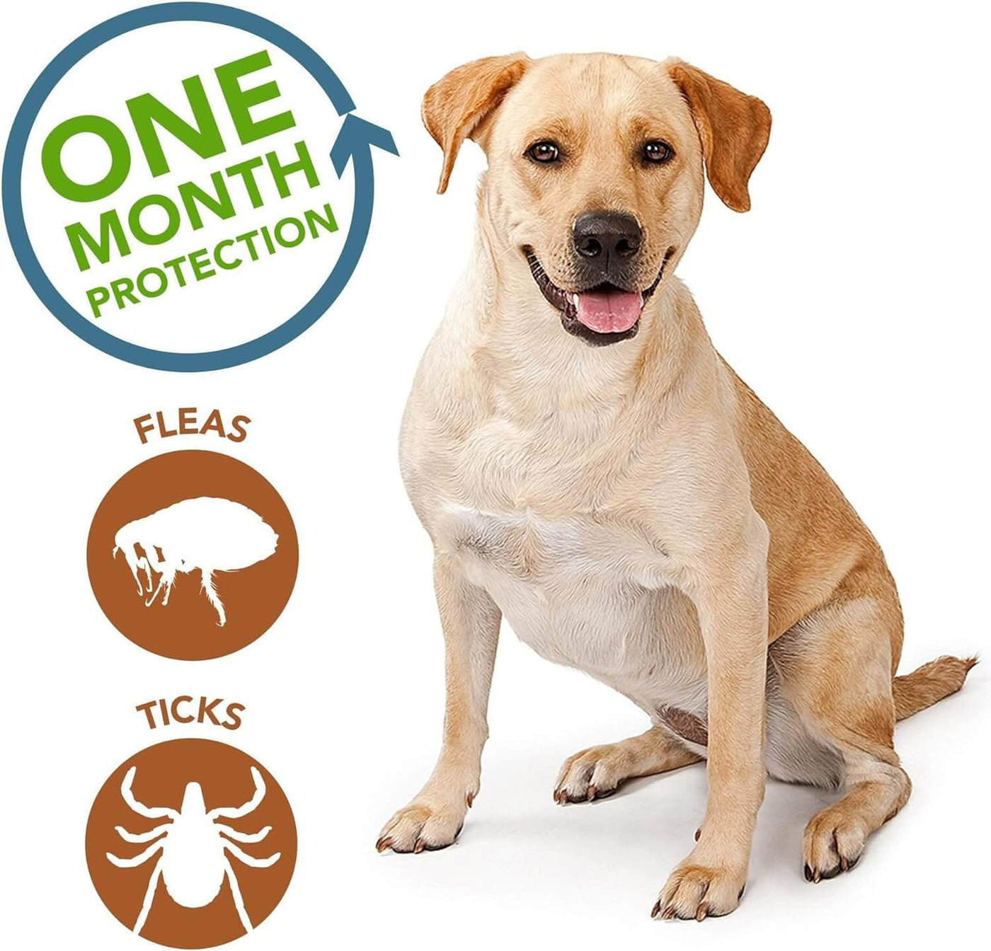 Vet s Best Flea Tick Drops for Dogs Only Natural Pet