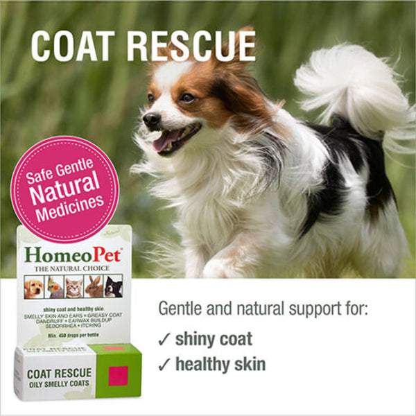 Homeopet Coat Rescue Infographic