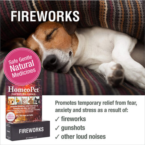 Homeopet Fireworks Infographic