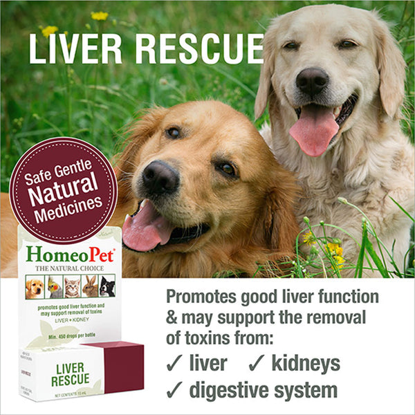 Homeopet Liver Rescue Infographic